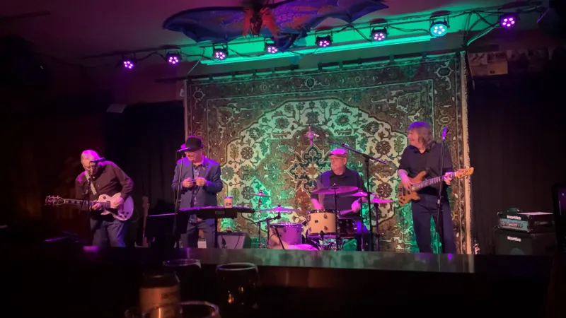 The Blueshounds performing