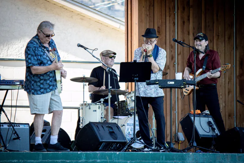 The Blueshounds performing