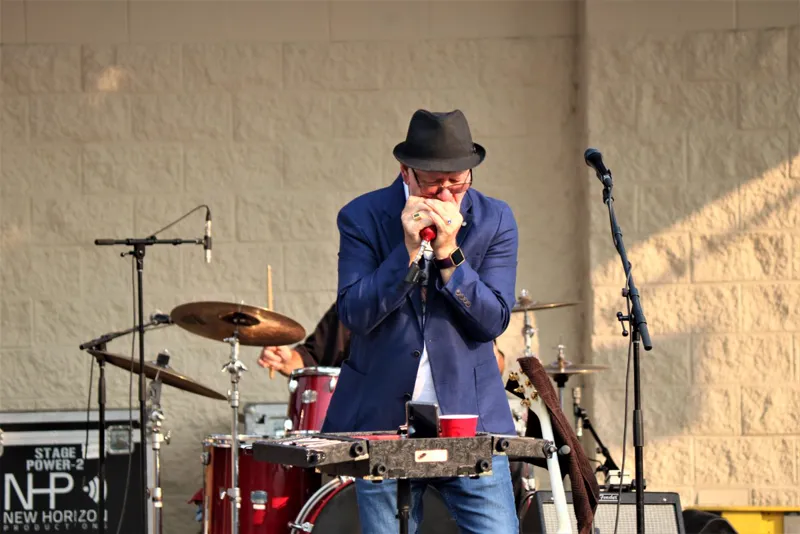 The Blueshounds live