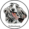 The Blueshounds Band